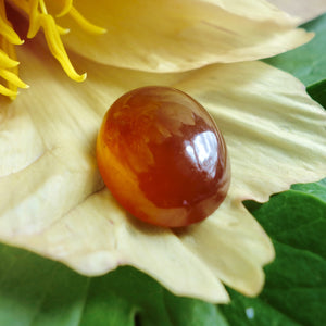 Hessonite Garnet, 21.74 Ct. Large Rare Honey Color, Cabochon