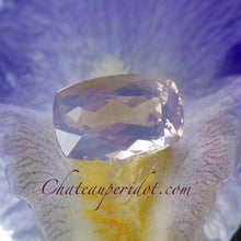 A special color of amethyst prized by French Nobility is Rose De France.