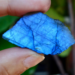 This is the rarest omni directional labradorite in vivid electric blue.