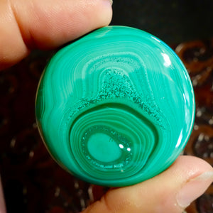 Malachite Cabochon, 210.90 Ct. Large, Round, Very Nice with Excellent Polish