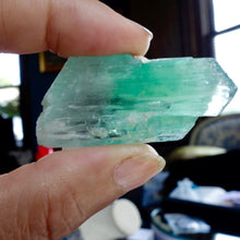 Hiddenite and Kunzite Rough, 2 types of Spodumene in 1 Crystal, Rare