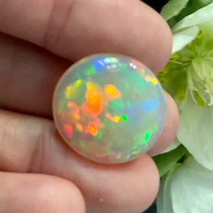 Crystal Opal, 15.65 ct. Round Cab, High Dome, Flagstone Pattern