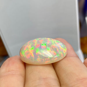23.47 ct. Ethiopian Welo Opal Top Color, 5/5 Color and Brightness, Oval